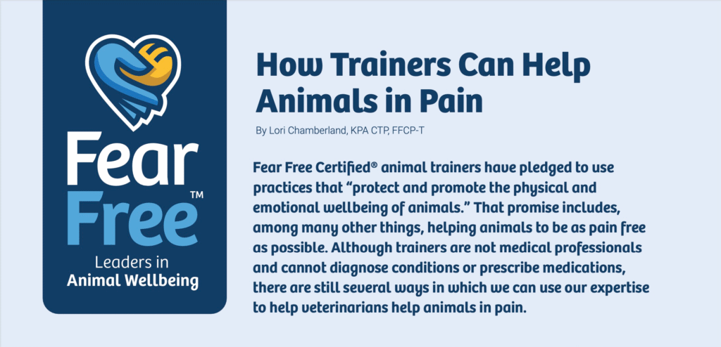 How Trainers Can Help Animals In Pain