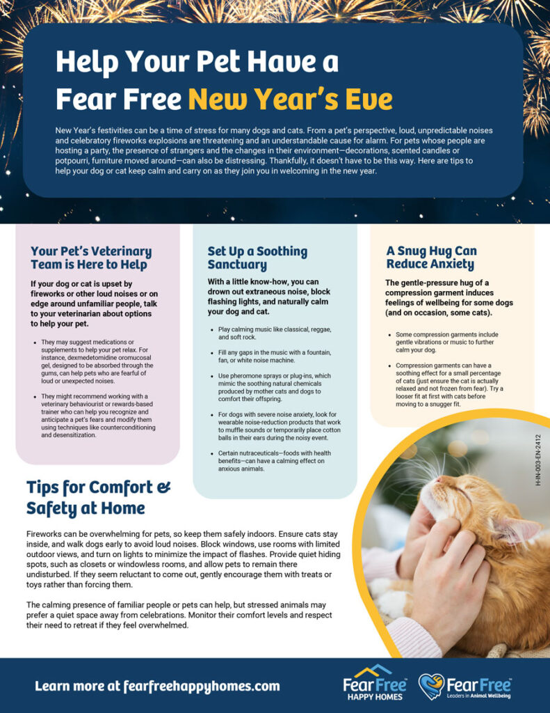Help Your Pet Celebrate a Fear Free New Year