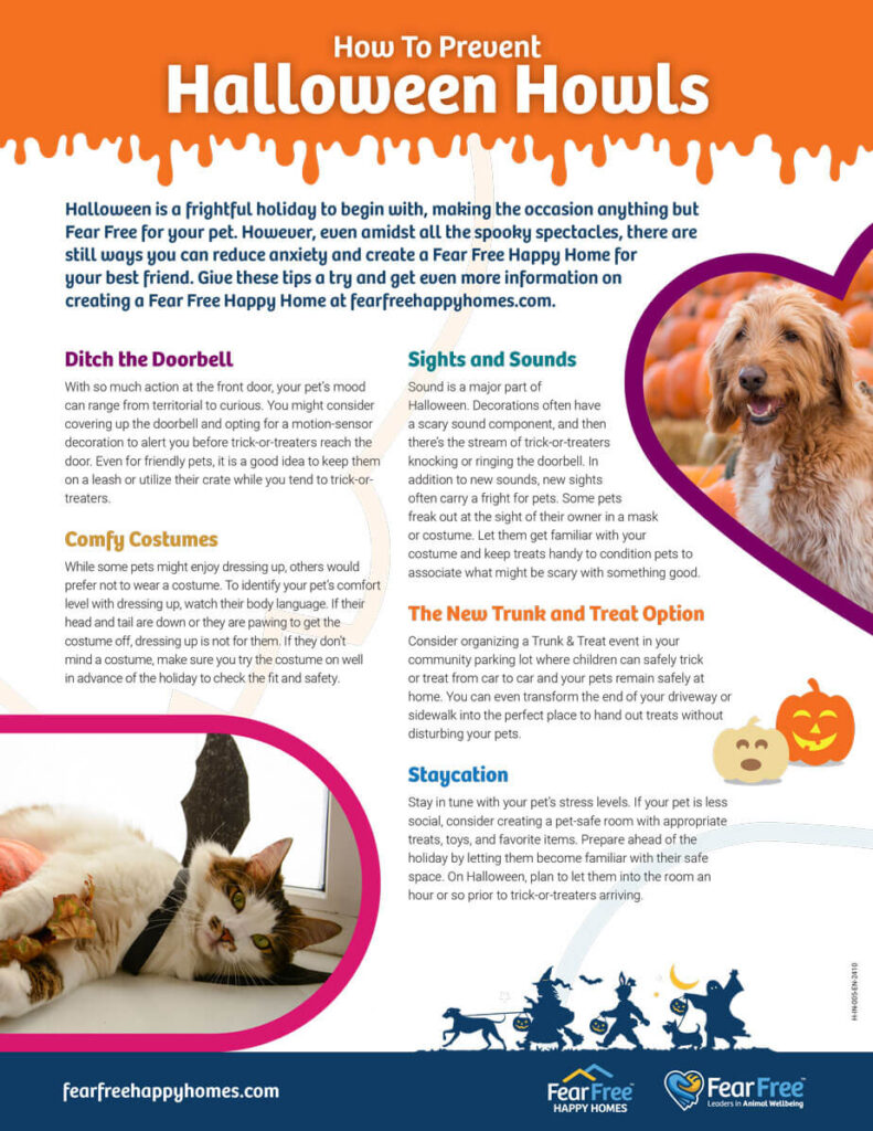 Fear-Free-Halloween