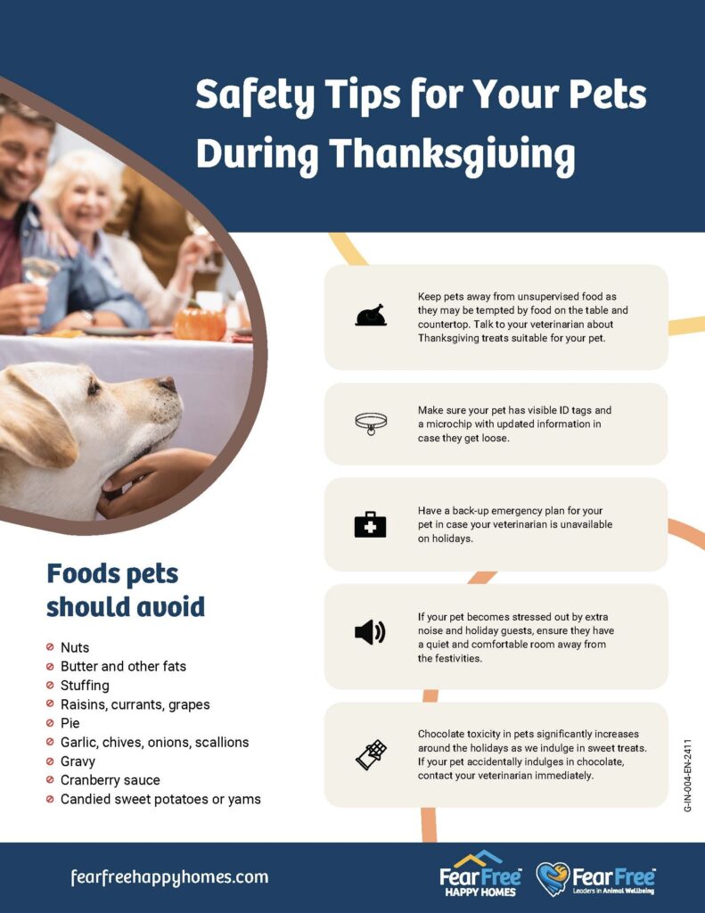 trupanion-thanksgiving-no-bleed (1)