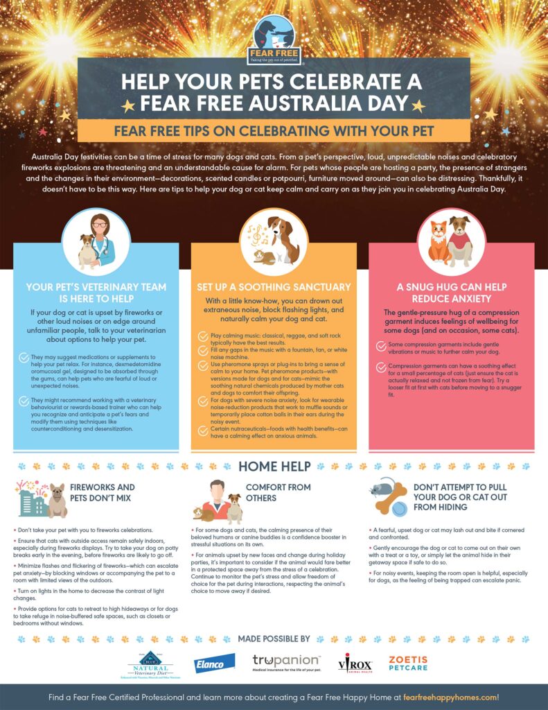 Help Your Pet Celebrate a Fear Free Australia Day Featured