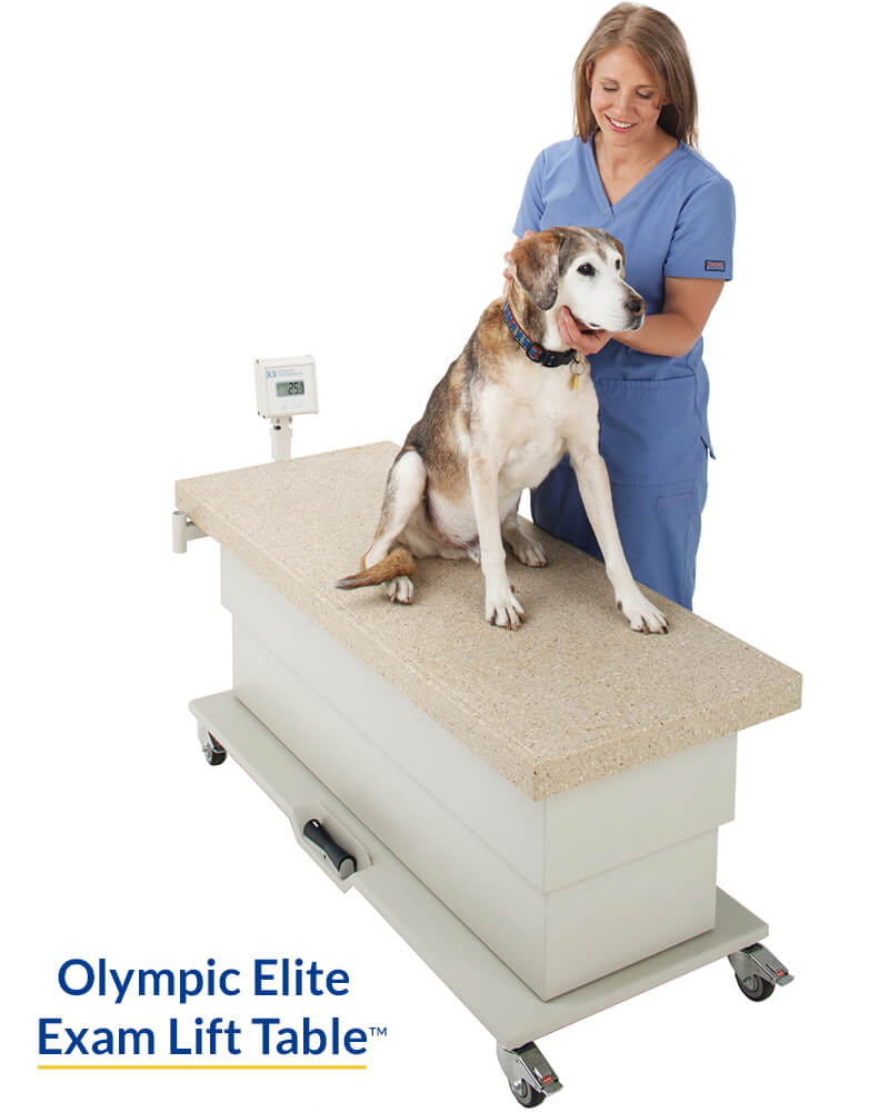 Olympic Exam Lift Table