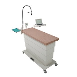 Empty table with accessories