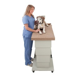 Dog and attendant table high