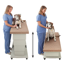 Dog and attendant with table high and low