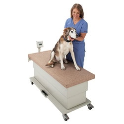 Dog and attendant table low