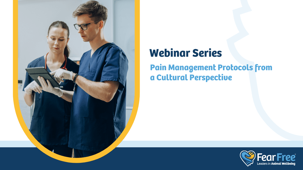 Webinar Series Pain Management Protocols from a Cultural Perspective