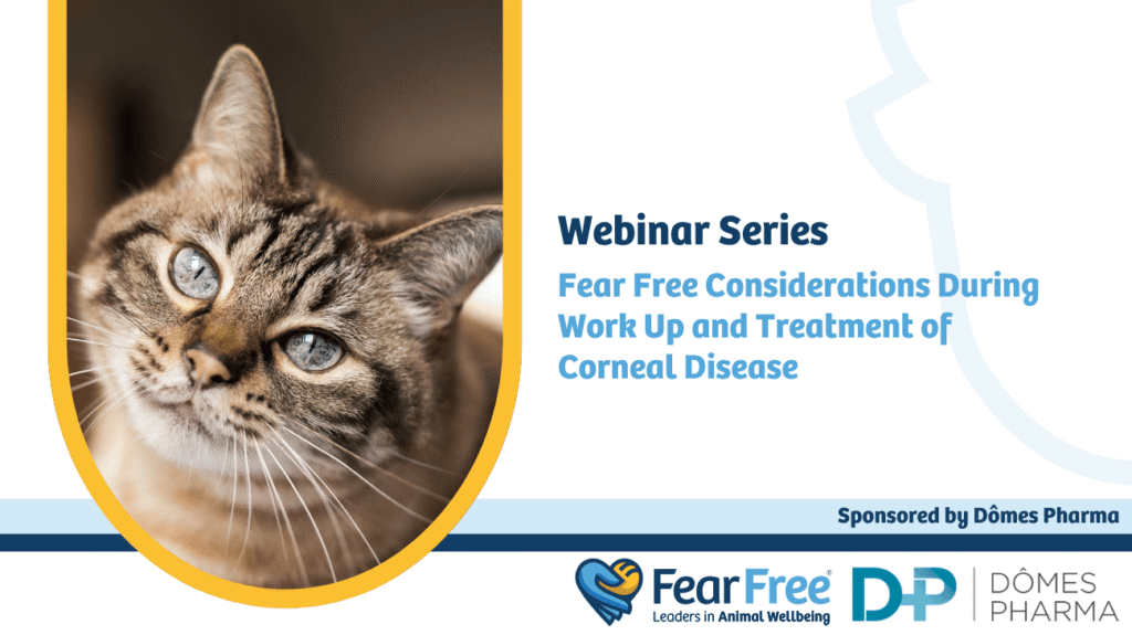 Webinar Series Fear Free Considerations During Work Up and Treatment of Corneal Disease