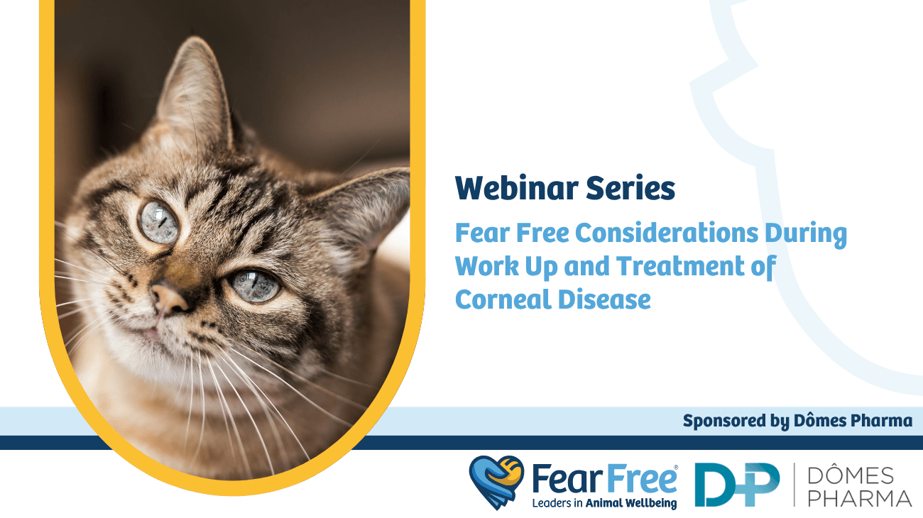 Webinar Series Fear Free Considerations During Work Up and Treatment of Corneal Disease