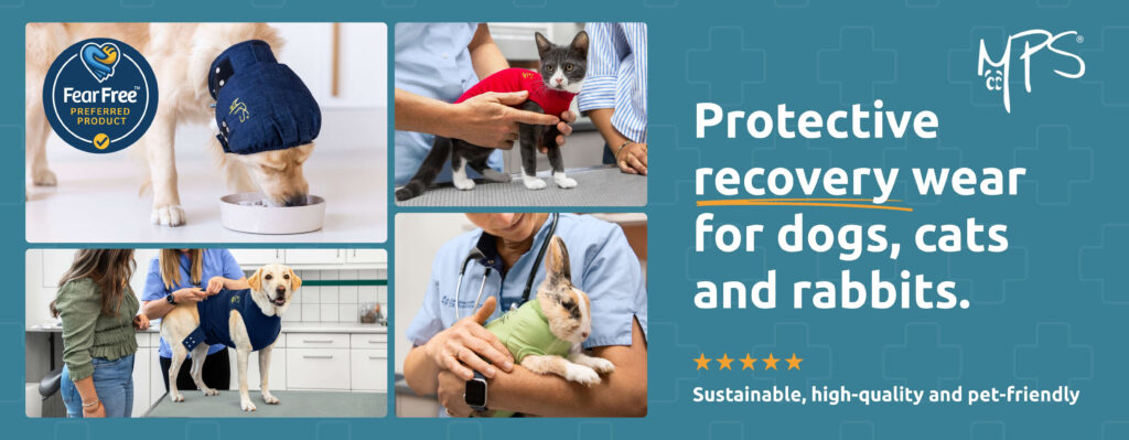 Protectable recovery wear for dogs, cats and rabbits.
Sustainable, high-quality and pet-friendly