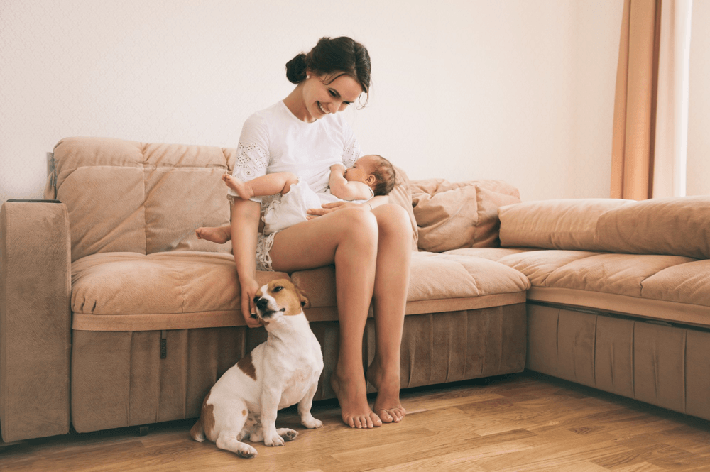 person with baby and dog